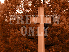 CROSS TREE RED